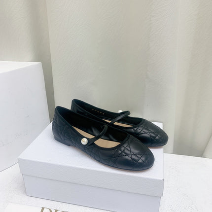 Collection image for: DIOR FLATS