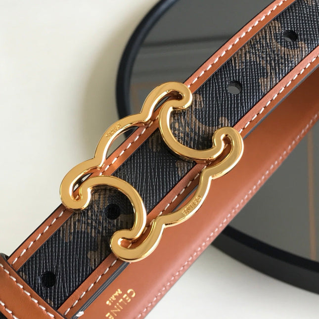CELINE 25S BELT TRIOMPHE 25MM IN BROWN CALFSKIN AND CANVAS 559678