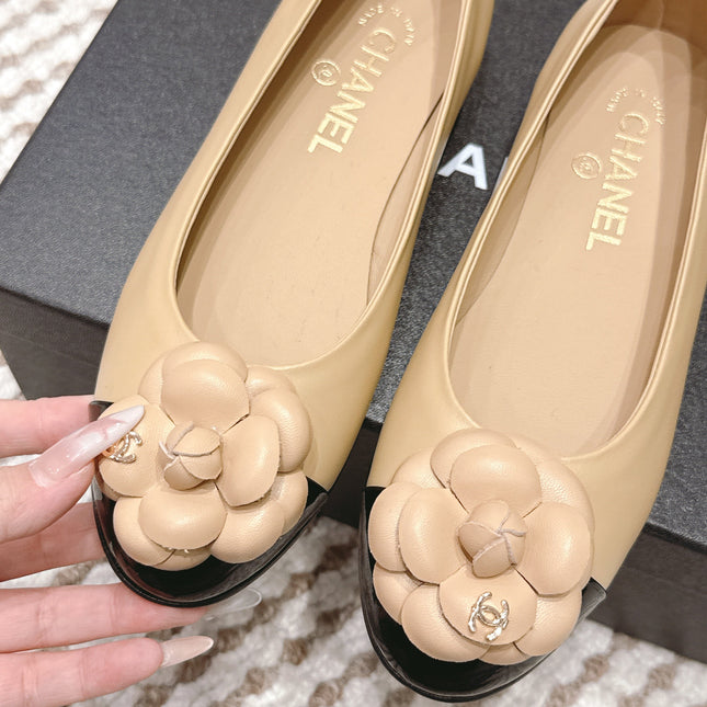 CHANEL 25S BALLET FLAT ROUND TOE IN BEIGE AND BLACK SHEEPSKIN WITH CAMELLIA