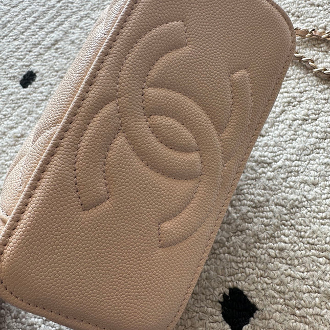 CHANEL 25S VANITY BAG 17 IN LIGHT PINK CAVIAR LEATHER
