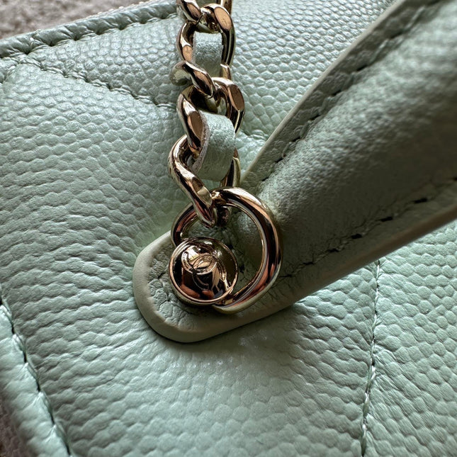 CHANEL 25S VANITY BAG 17 IN MINT GREEN CAVIAR LEATHER