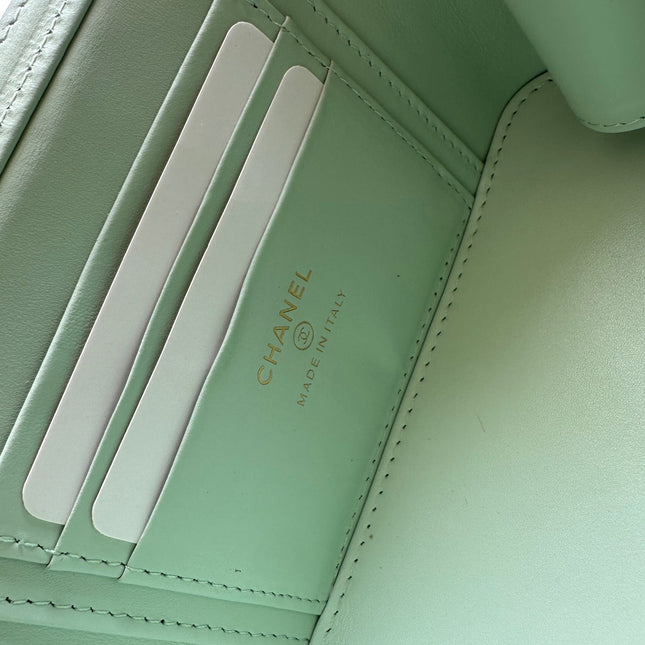 CHANEL 25S VANITY BAG 17 IN MINT GREEN CAVIAR LEATHER