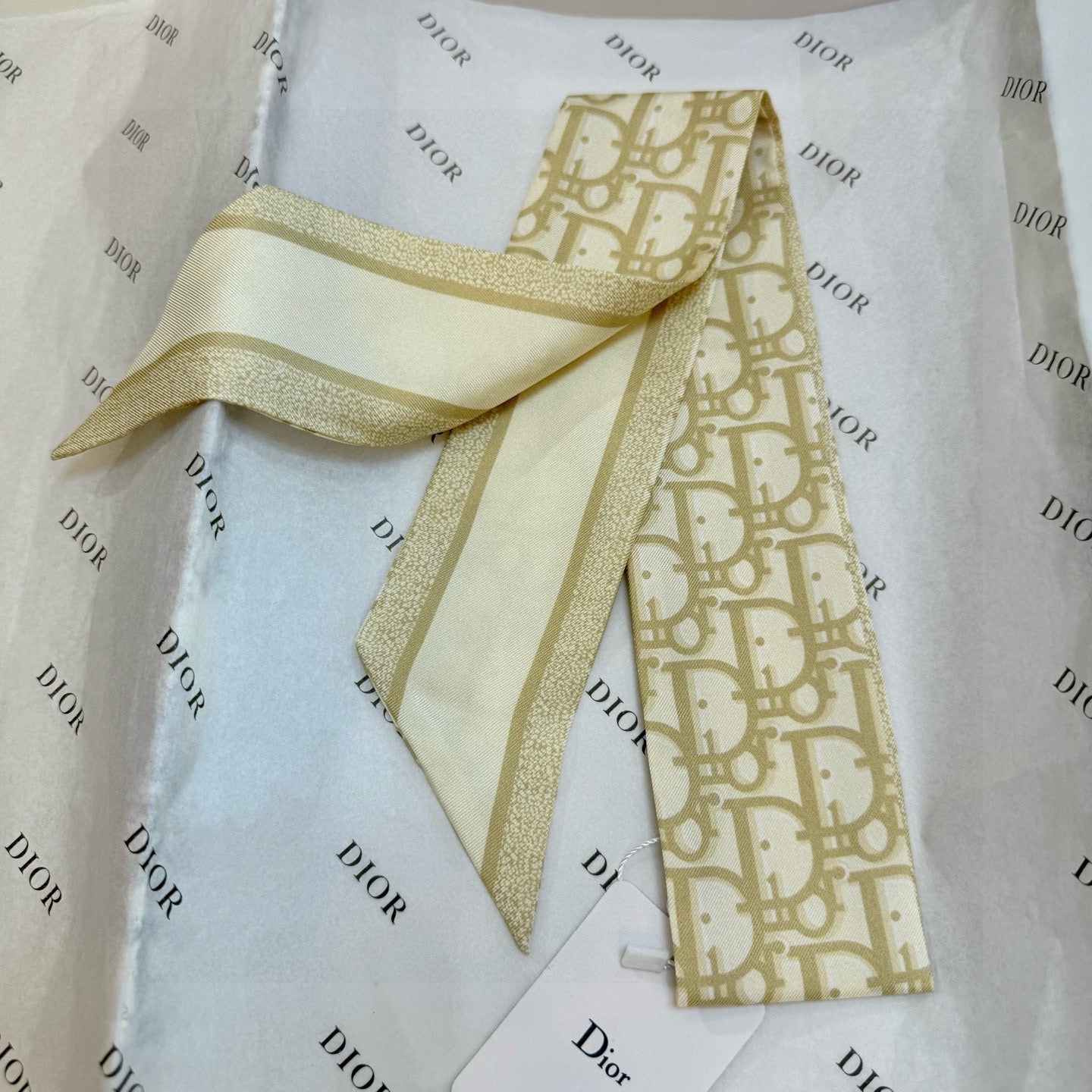 DIOR 26S SCARF 105CM IN SILK 302917