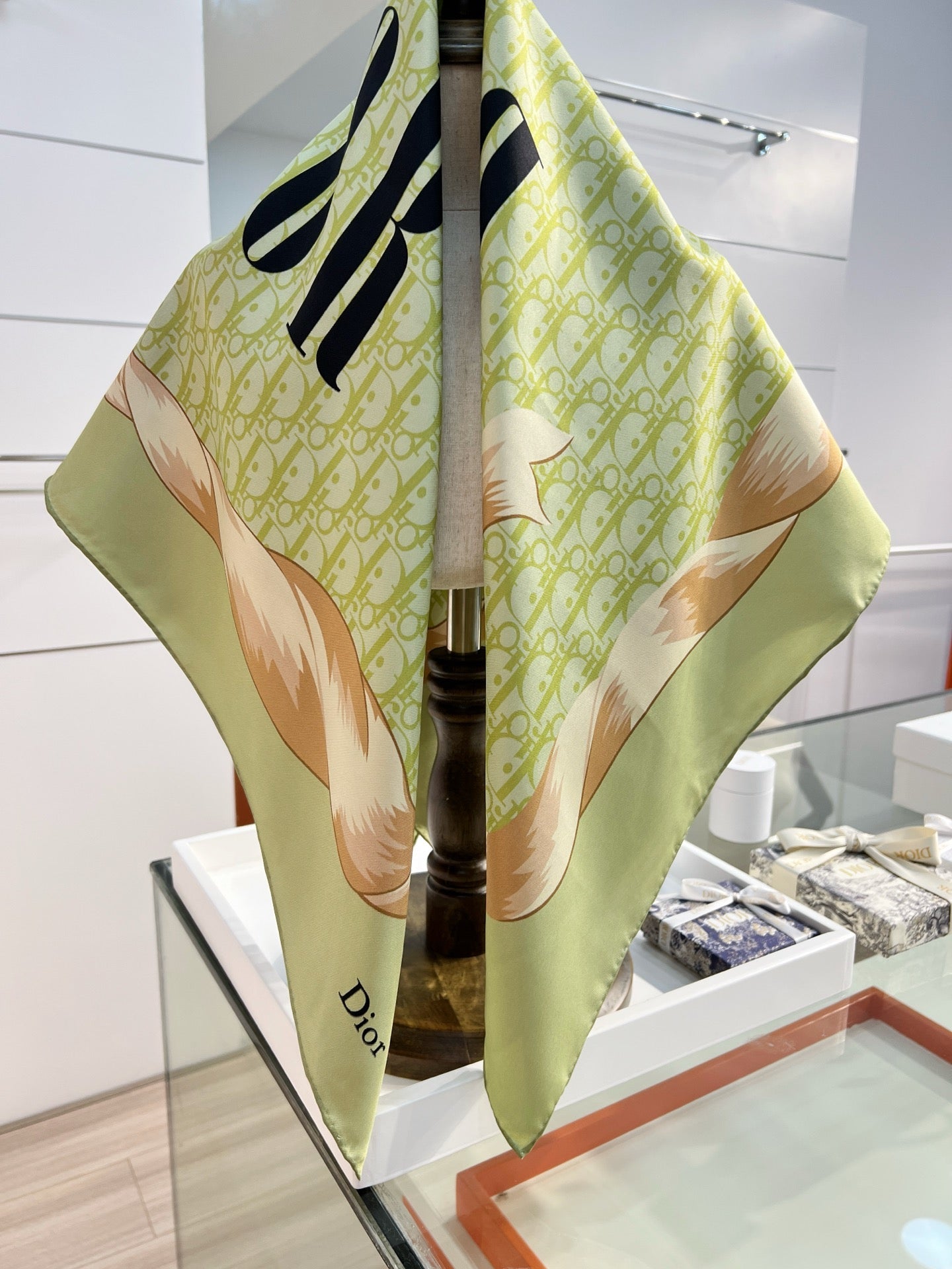 DIOR 26S SCARF 90CM IN SILK 163867