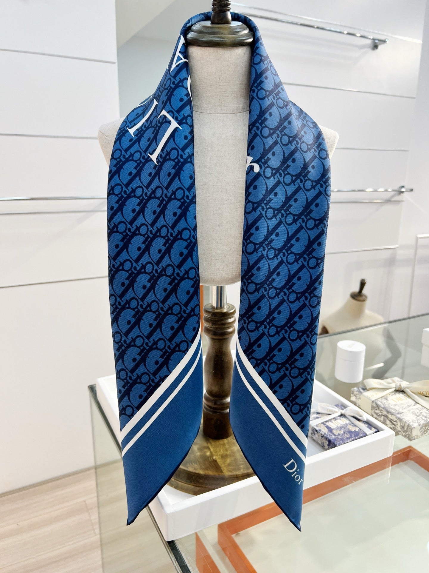 DIOR 26S SCARF 90CM IN SILK 163865