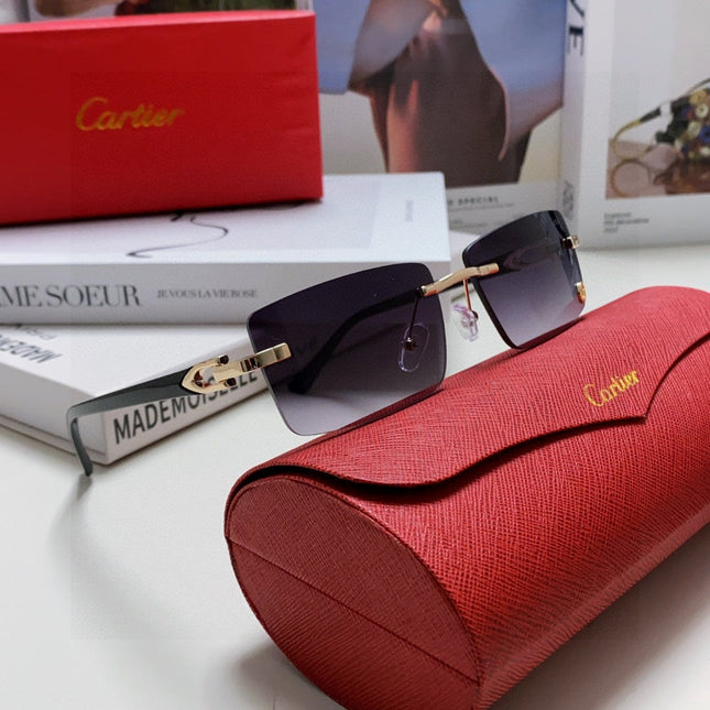 C DE RECTANGULAR FRAME SUNGLASSES 555890 IN METAL AND ACETATE
